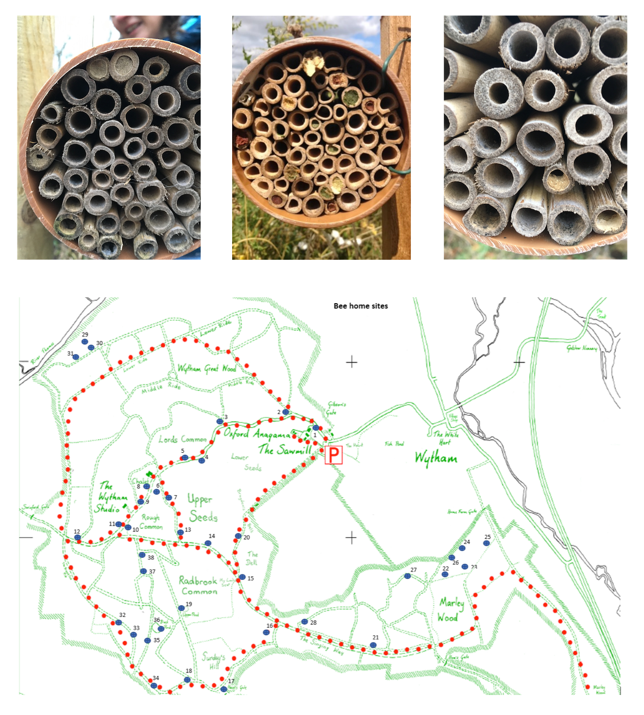 beebamboocollage