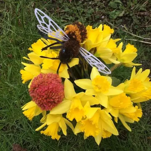 bee4small520