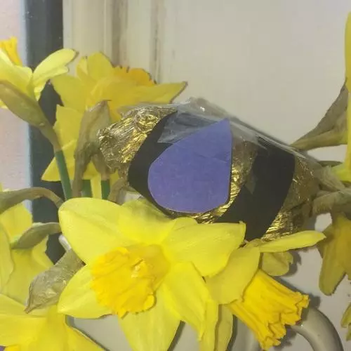 smile bee small